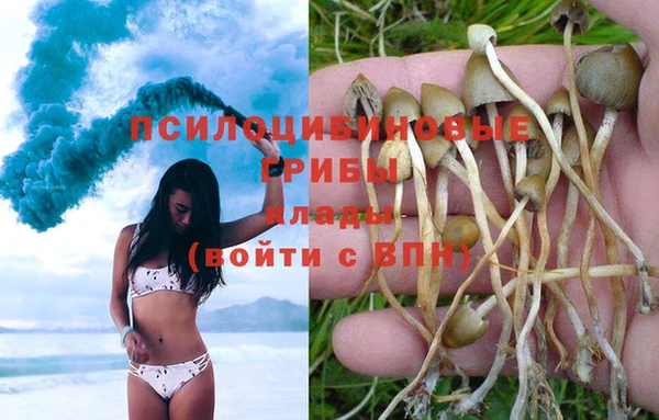 прущая мука Алзамай