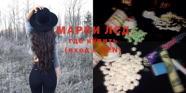 прущие грибы Алексеевка