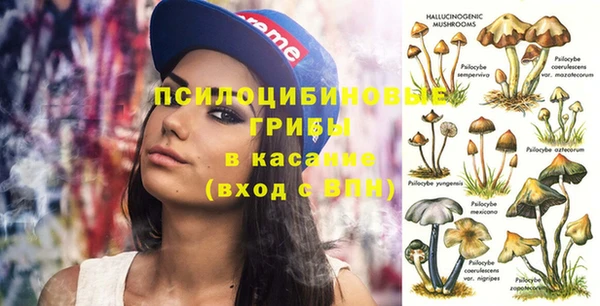прущие грибы Алексеевка