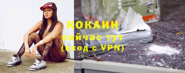 индика Абаза